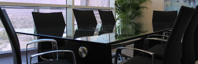 תחומי פעילות